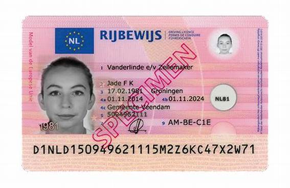 geregistreerd Nederlands rijbewijs